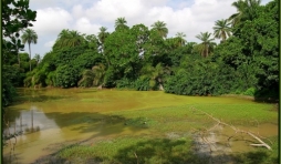 abuko nature reserve