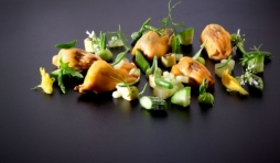 Komkommer - wilde rijst - bbq mossel - zeekraal - avocado