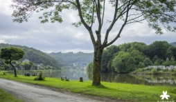bogny sur meuse, vier heemskindderen