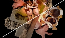 « Métamorphose », à la « Galerie du Beffroi », à Namur