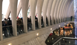 20.000 visiteurs ,exposition Toutankhamon. Liege-Guillemins
