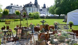 Brochante au chateau de Deulin