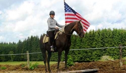 Elevage de Rocky Mountain Horse