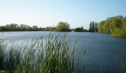 Ardres : le lac