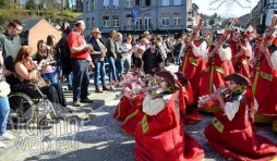 video carnaval La Roche 2017