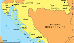 Les oliveraies de Lun