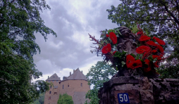 Castelflora 2023 ( photo : F. Detry )
