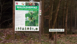 _rodt_waldlehrpfad_03-c-ostbelgien.eu