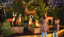 Decoration de quartier