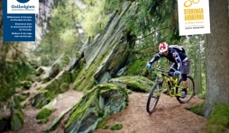 Stoneman Arduenna ( photo east belgium )