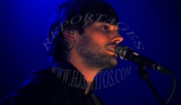 Puggy