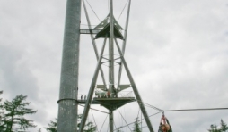 Accrobranche Tour du Millenaire