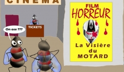 la visiere du motard: humour