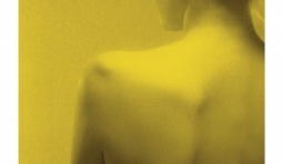 Anais de Jacques Montfer  Editions Blanche.